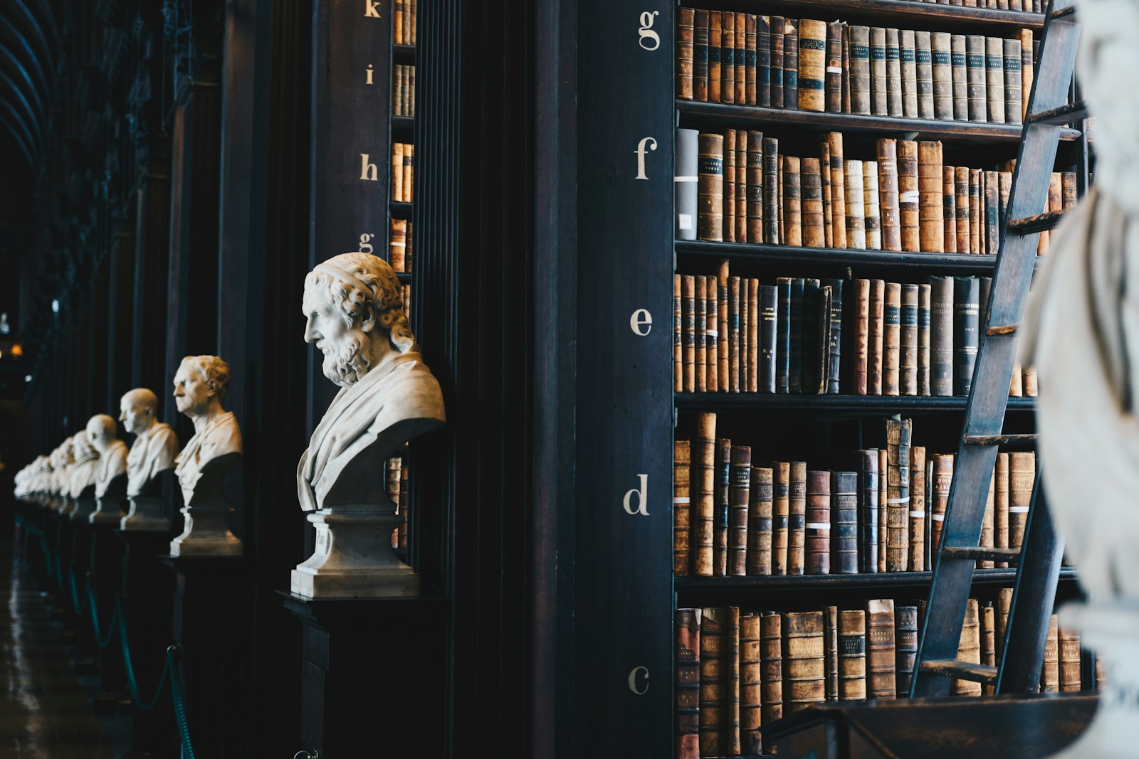 Shelves of leather-bound law books in a grand law library